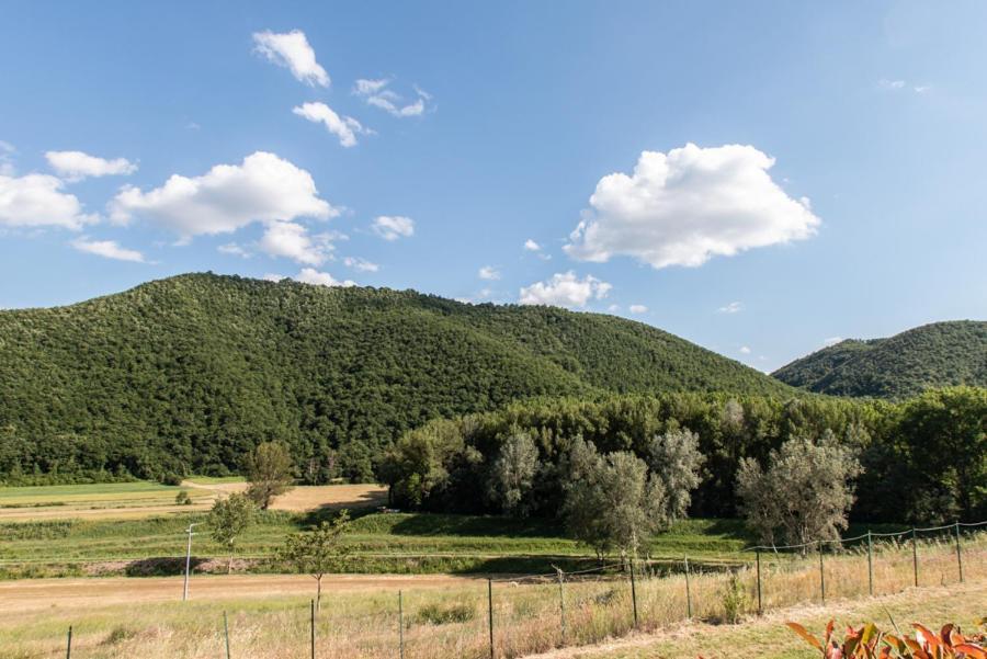 Il Colombaio Agriturismo Montegabbione المظهر الخارجي الصورة