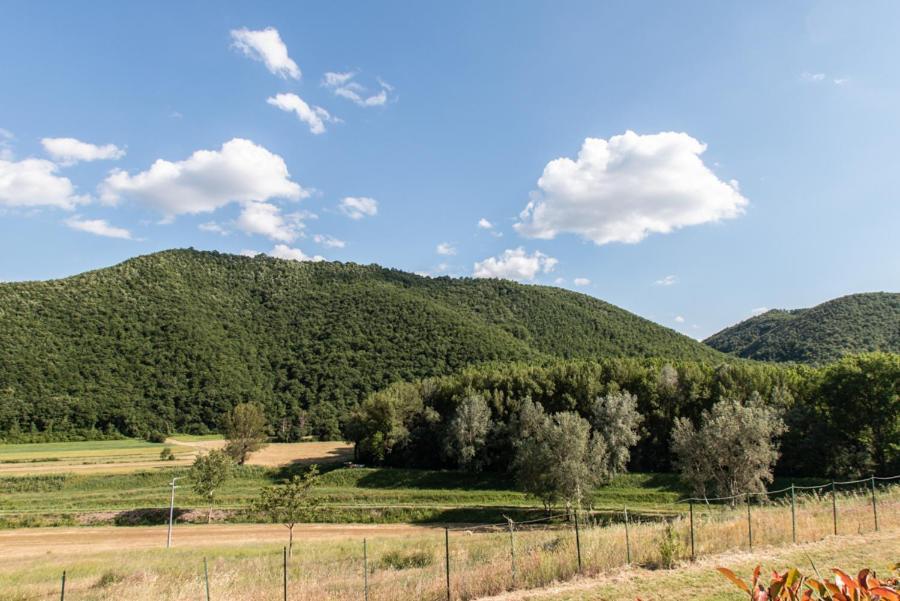 فيلا Il Colombaio Agriturismo Carnaiola المظهر الخارجي الصورة