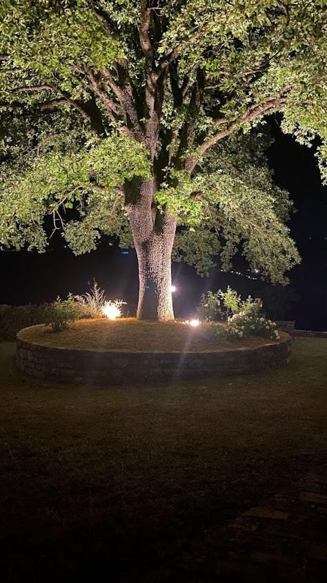 Il Colombaio Agriturismo Montegabbione المظهر الخارجي الصورة