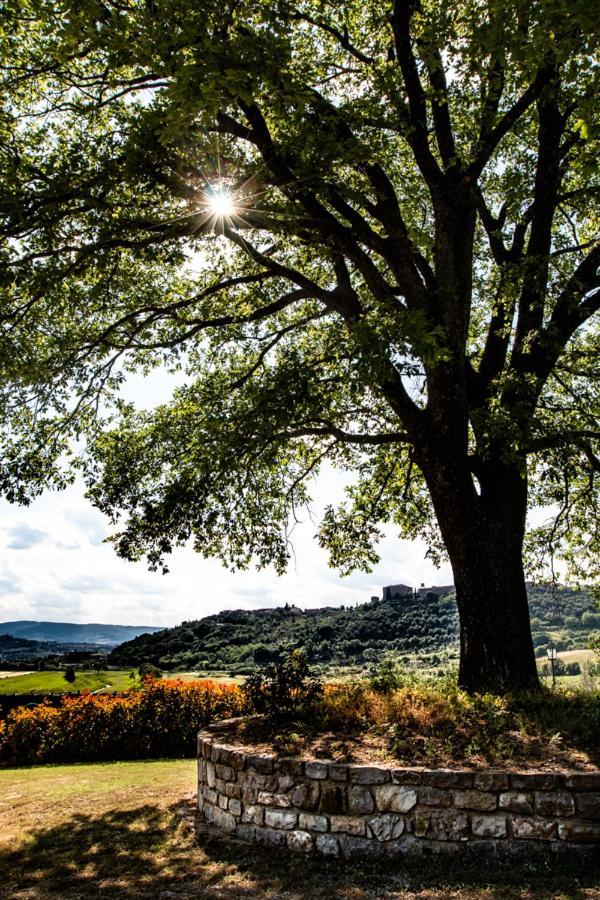 Il Colombaio Agriturismo Montegabbione المظهر الخارجي الصورة